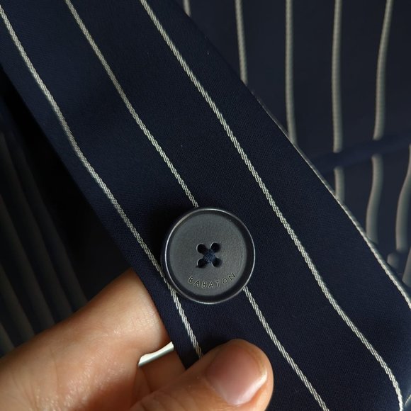 Aritzia Babaton Pin Stripe Oversized Blazer - Picture 4 of 6